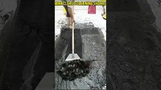 Oddly Dirty Red Carpet ASMR Cleaning: Satisfying Viral Transformation! 🔥🧼 #shorts