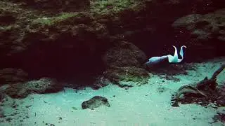 The Deep Blue Mermaid: Swim through the Ballroom