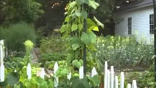 Садовые мелочи