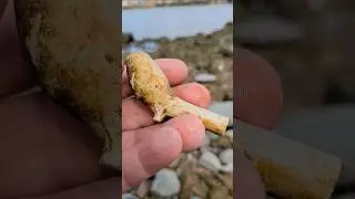 400 Year Old Treasure Found Mudlarking the Thames River London #Mudlarking