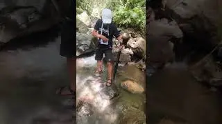Pointing to treasure 