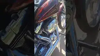2007 Harley Davidson softail custom #harleydavidson #softail