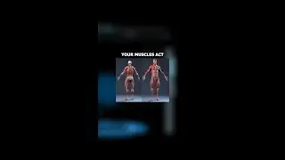 Protecting Joints Through Muscle Activation