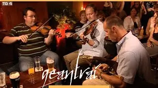 Ned Wall, Dermot Wall & Rory Healy | Tigh Colfer, Loch Garman | Geantra&iacute; 2007 | TG4
