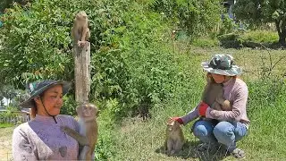 Happy Kako Family Playing Outside Nearly New Home
