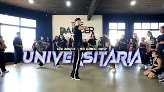 UNIVERSITARIA - THE DANCER CREW X LUCI BENTOS