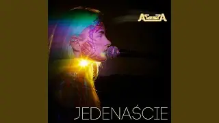 Jedenaście