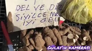Adam otu nedir?faydaları neler