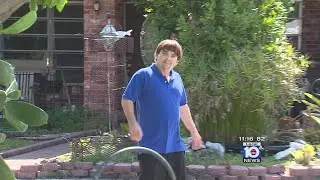 Local 10's Bob Norman delves into world of write-in candidates