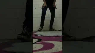 Double Shovit #skateboarding #shorts #skating #viral #carpetboarding #cattix