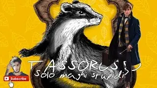 TASSOROSSO: SOLO MAGHI STUPIDI ?