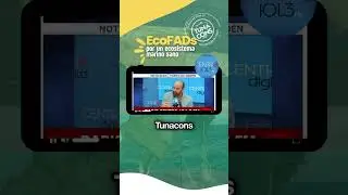 Ecuadorian tuna is caught with 100% eco-friendly FADs