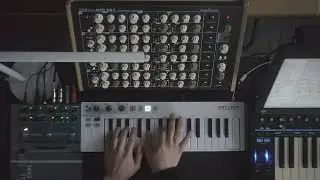 PaprTape - Wintry // Vermona PERfourMER MKII + Strymon Nightsky