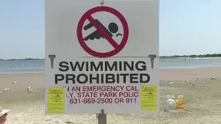 High Levels Of Bacteria Close Popular Section Of Jones Beach