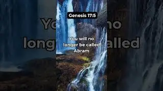 Your identity #scripture #bibleverse #fyp #bibleversecorner #bible #viral #quotes #motivation #facts