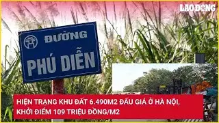 Hiện trạng khu đất 6.490m2 đấu giá ở Hà Nội, khởi điểm 109 triệu đồng/m2 | Báo Lao Động