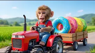 Monkey NaNa&rsquo;s Donut Run Spins Out of Control &mdash; His Smart Trick Stuns Everyone! 😱