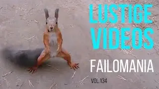 Очень смешные видео! 😂 Смешная Подборочка! 2018 😹 vol.134 ║FAILOMANIA║