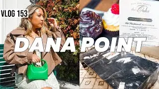 VLOG 153 | NEW SPRING SINBONO BAG UNBOXING + Dana Point + Housewarming Party + OCC Swap Meet