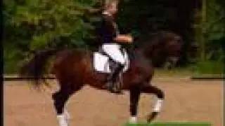 Horse Video (Graceful Horses)
