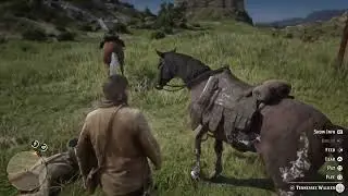 Red Dead Redemption 2_20251215235821