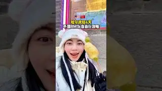 Real Life Frozen Harbin Travel Guide☃️❄️ 哈尔滨不包车自由行攻略