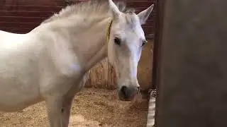Behind the Scenes: Chapel Creek Ranch
