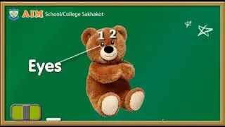 Teddy Bear Show and Tell