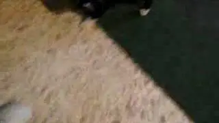 Tom and cyber-Jerry - The next generation