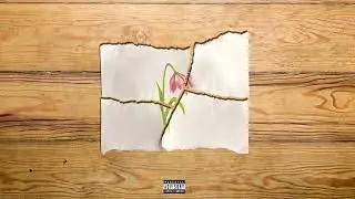 Bl4ck - TULIPANO - feat. ronniedamn | (Marla RMX)
