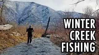 Winter Creek Fishing (Tenkara Fly Fishing)