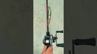 The Go-To Swimbait Setup🔥 #abugarcia #bassfishing #fishing