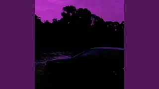 electric meadow