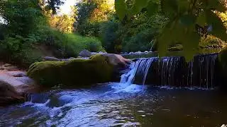 Soothing Rain Forest Water 🌊 with Soft Piano 🎼 to Relax Mind and Improve Sleep Quality