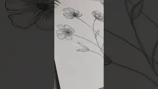 flower sketching and shading #drawing