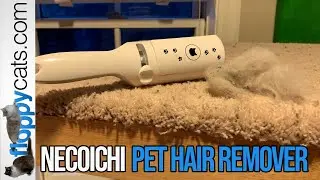 Cat Hair Got You Down? Necoicihi Purrfection Pet Hair Remover Product Review