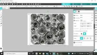 Dropping an image into a shape in Silhouette
