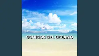 Playa Increible