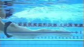 Video Nº 2   Natacion  Pecho   Análisis Técnico