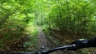 Aalen - Braunenberg - No Flow Trail (North to South)
