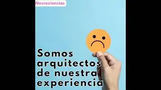 117-Somos arquitectos de nuestra experiencia