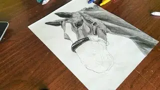 Horse sketch part 2 ✨ | BGXD ARTS 26 