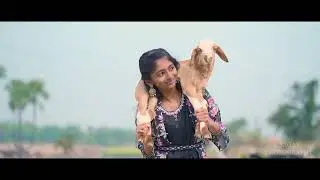 SAREE CERMONY SHOOT#preshoot #sareeceremony #cinematic  #trending #Best sareecermony shoot