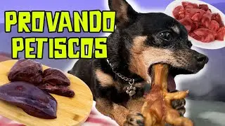 PROVANDO PETISCOS DE CACHORRO | MEUS CACHORROS COMERAM F&Iacute;GADO CRU? - Parte 5