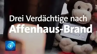 Affenhaus abgebrannt: Verdächtige melden sich bei Polizei Krefeld