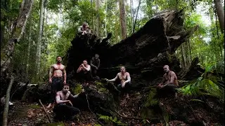 Why Aboriginal People Walked 1000s km for the Bunya Nut Festival | BUNYA DREAMING