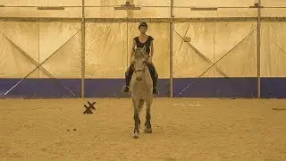 Oxer