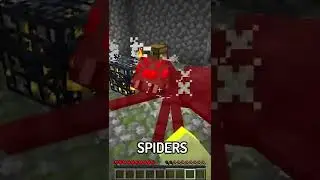Invisible spiders!