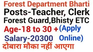 Govt jobs in may 2019|Latest Govt jobs 2019|Latest Govt job May 2019|Govt jobs in punjab in may 2019