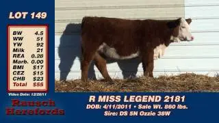 Lot 149: R Miss Legend2181